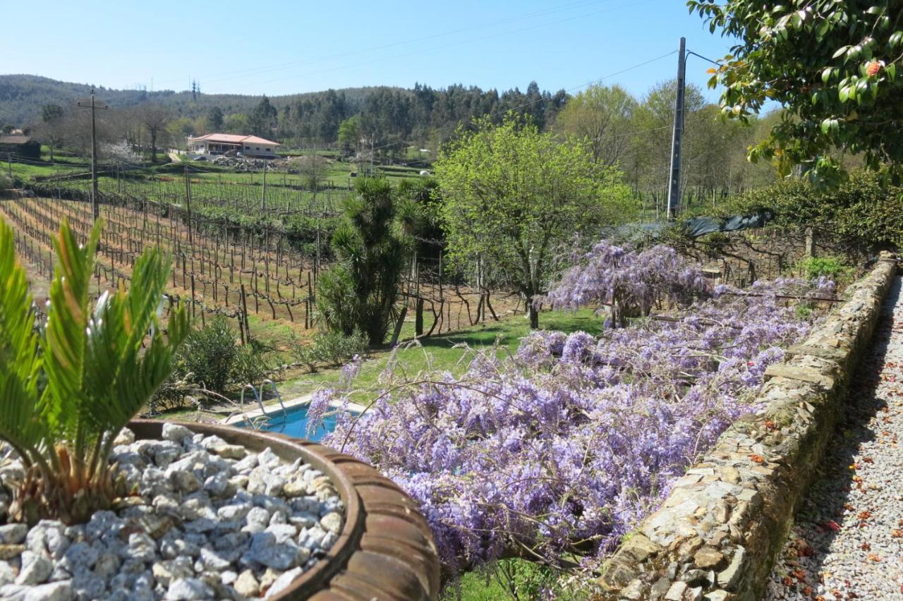 Вілла Quinta Das Aranhas Каштелу-де-Пайва Екстер'єр фото